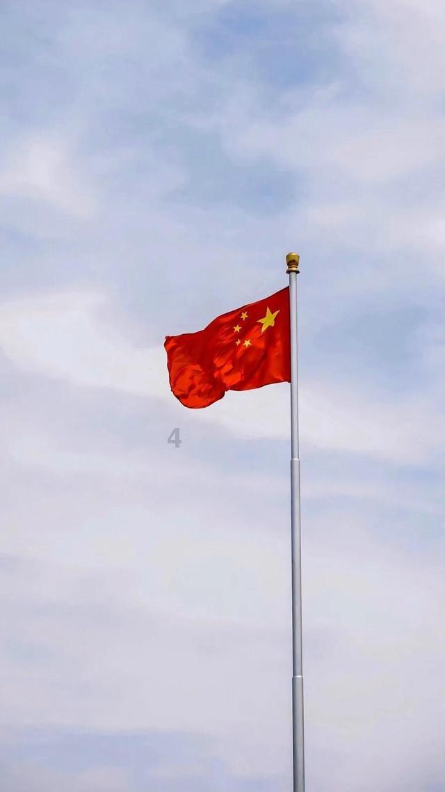 梅狸猫是什么意思