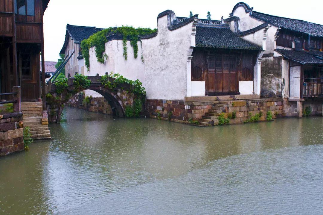 胖小猫救援